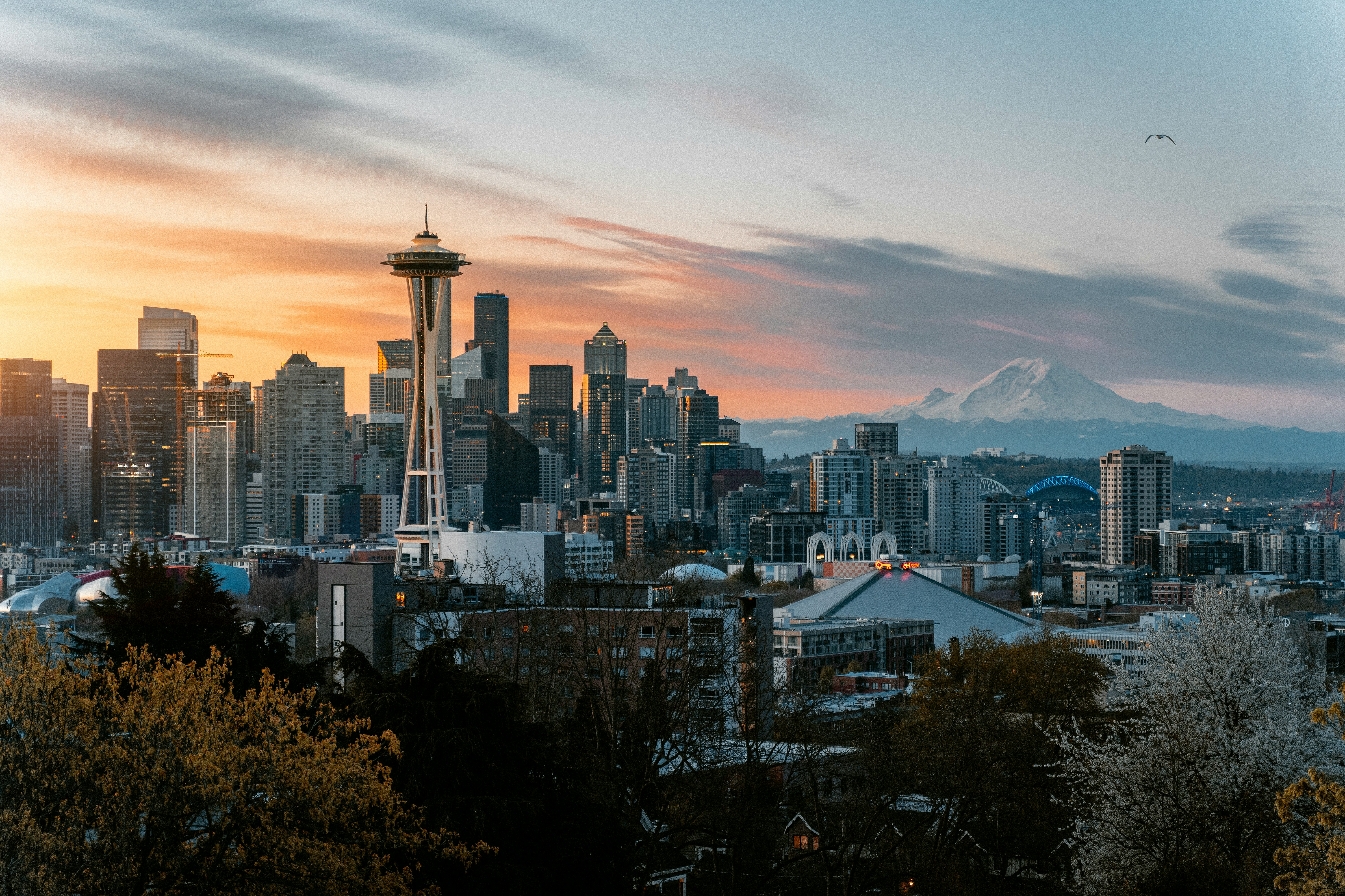 Seattle skyline with Mount Rainier